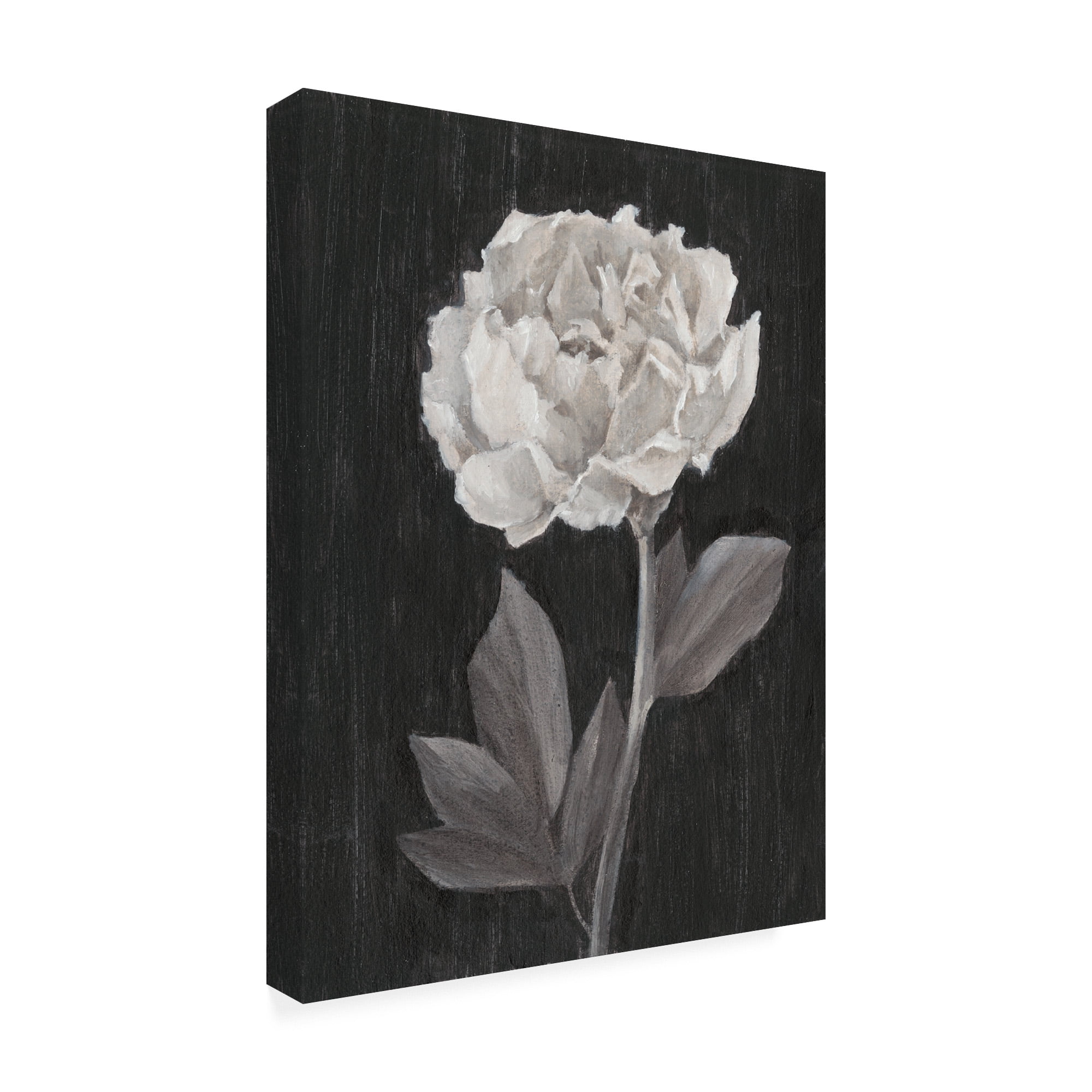 Trademark Fine Art 'Black and White Flowers IV' Canvas Art by Ethan Harper