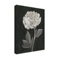 thumbnail image 2 of Trademark Fine Art 'Black and White Flowers IV' Canvas Art by Ethan Harper, 2 of 3
