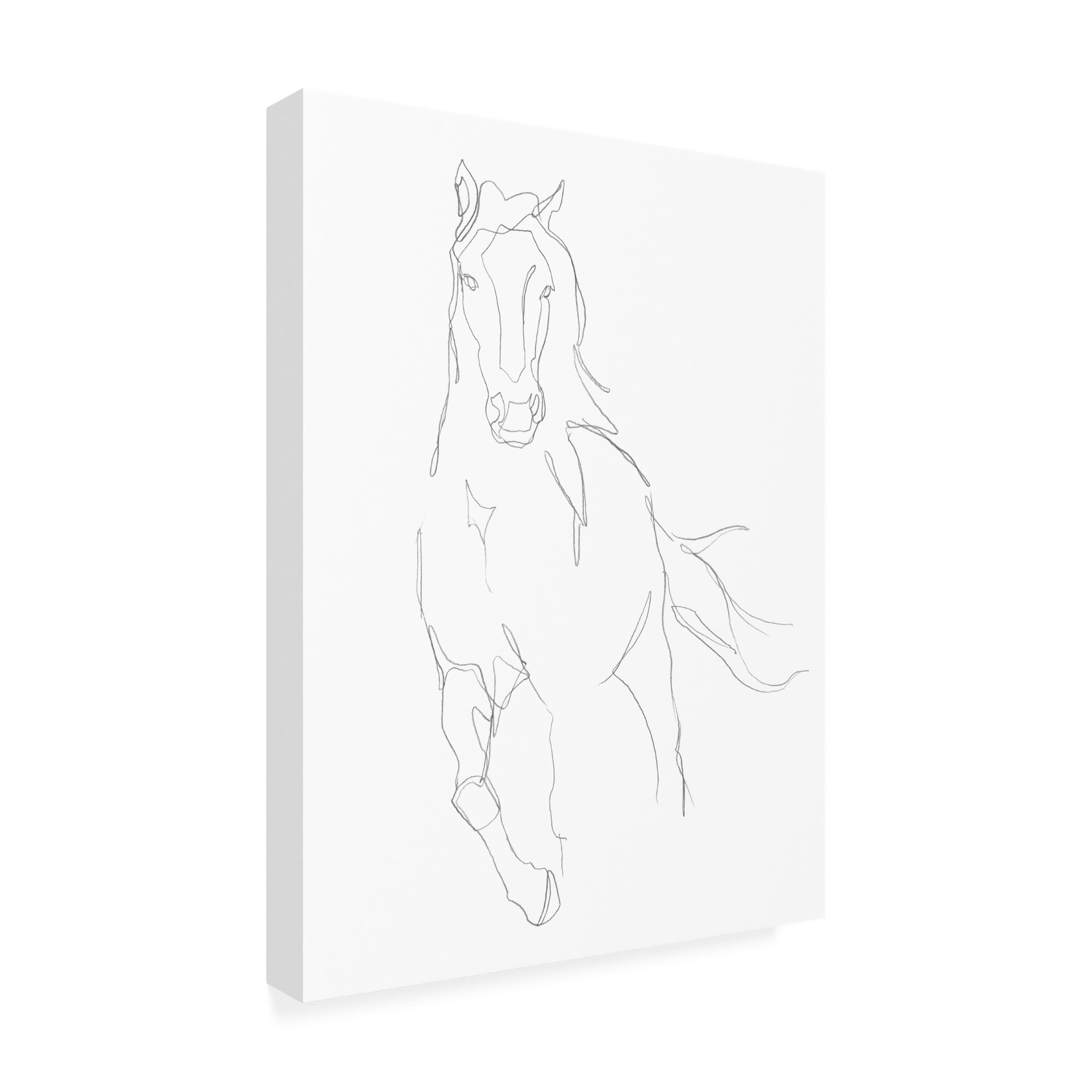Ethan Harper 'Horse Contour II' Canvas Art