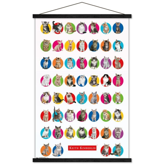 Keith Kimberlin - Kitten Grid Wall Poster with Wooden Magnetic Frame, 22.375" x 34"