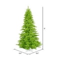 thumbnail image 2 of Vickerman 9' Lime Fir Artificial Christmas Tree, Unlit, 2 of 2