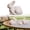 A, variant on Homesteed 4*3 Easter Decor Bunny Figurine Spring Decorations for Home Desktop Ornament Tabletop Bookshelf Easter Bunny Decor Rabbit Figurine