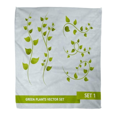 ASHLEIGH Flannel Throw Blanket Collection Green Plant Vines of Floral Foliage Leaf Nature Soft for Bed Sofa and Couch 58x80 Inches