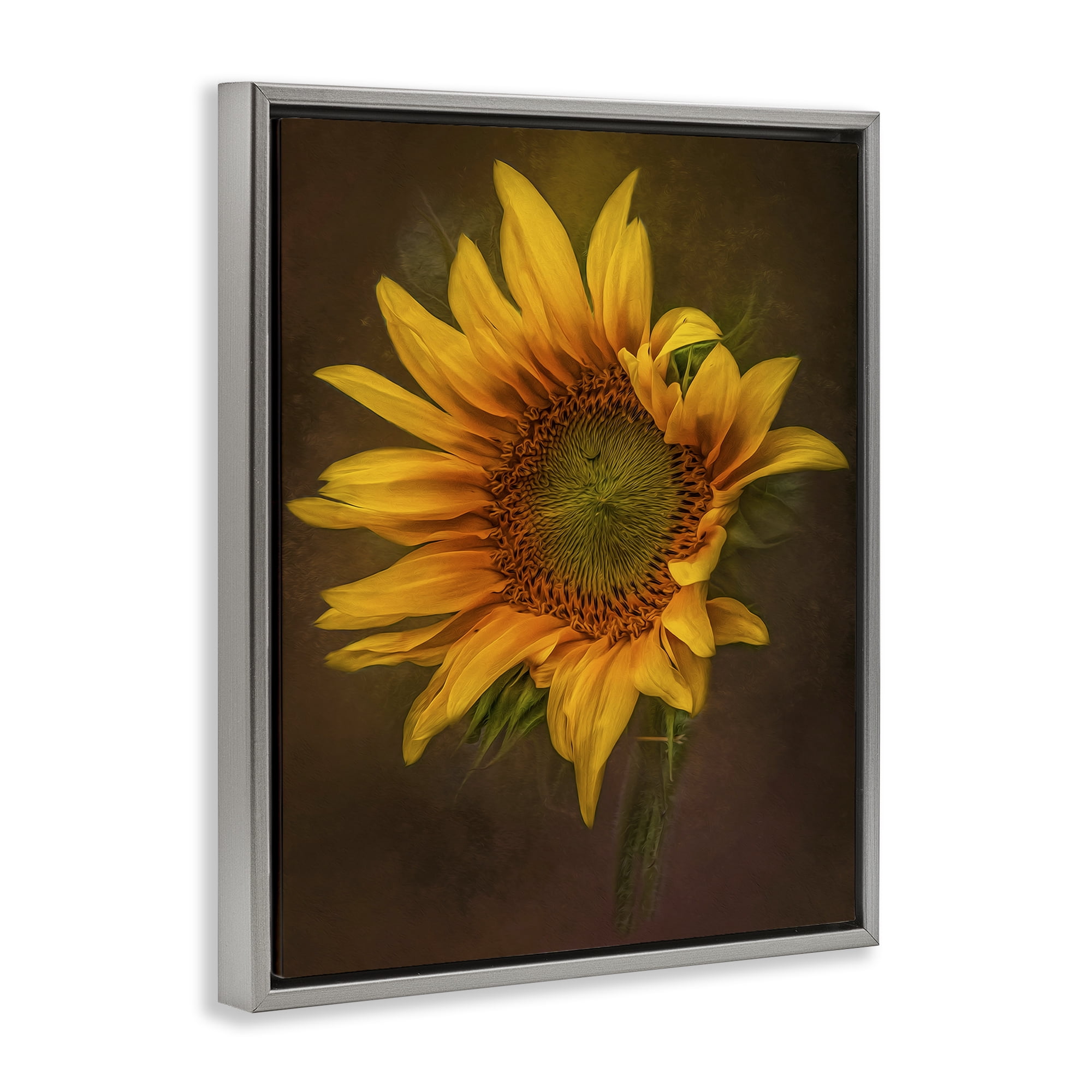 Stupell Industries Curling Petals Sunflower Plants & Flowers Painting Gray Floater Framed Canvas Art Print Wall Art, 17 x 21