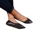 thumbnail image 2 of adviicd Closed Flats for Women Causal Work Shoes Pointed Ladies Shoes Singles Lazy Peep Toe Flats Shoes for Women, 2 of 5