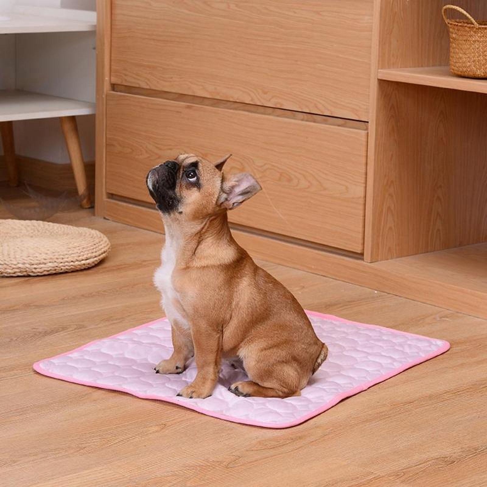 Pet Cooling Mat Dog Summer Cooling Pad Ice Silk Pet Bed Breathable Cat Nest Cat Blanket for Dogs Accessories Cat Supplies (Blue,L)