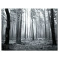 thumbnail image 2 of Design Art 'Black and White Foggy Forest' Photographic Print on Wrapped Canvas, 2 of 3