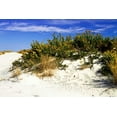 thumbnail image 2 of Alan Hausenflock 24x17 Gallery Wrapped Canvas Wall Art Titled - Assateague Beach II, 2 of 4