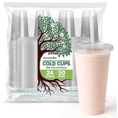 Stock Your Home 24 oz Clear PLA Cold Cups with Lids and Straws 50 Pack Disposable Party Cups