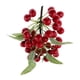 thumbnail image 1 of Modelo de comida de fruta Cherry Rojo Artificial Zulema, 1 of 6