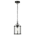 thumbnail image 2 of Globe Electric 1-Light Black Outdoor Pendant with Clear Glass Shade, Bulb Included, 44619, 2 of 4