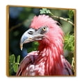 thumbnail image 2 of Designart "Flamingo in Photographic Splendor I" Animals Framed Wall Art - Traditional Green Flamingo Entryway Framed Wall Art, 2 of 6