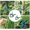 thumbnail image 4 of Haidf 20Pcs Plant Clips for Climbing Plants, Reusable Garden Clips for Supporting Plant Stems, Stalks and Vines, Gentle Plant Support Clips for Trellis, Bamboo Stakes and Tomato Cage, 2.4", Green, 4 of 8