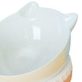 thumbnail image 7 of Elevated Cat Bowl Feeding Watering Supplies Tilted Pet Dishes with Stand Raised Cat Food Bowls Vomiting Cat Bowl for Indoor Cats 11.7cmx10.5cm pink, 7 of 7