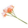 thumbnail image 3 of 72x Flores De Estambre Con Para La De Pinzas Para El Cabello De Decoración De Bricolaje, BLESIY  Flor artificial, 3 of 8