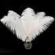 thumbnail image 2 of Piokio 20 plumas de avestruz blancas de 10 a 12 pulgadas (25 a 30 cm) a granel para decoraciones navideñas, centros de mesa de bodas, decoraciones Gatsby, 2 of 4