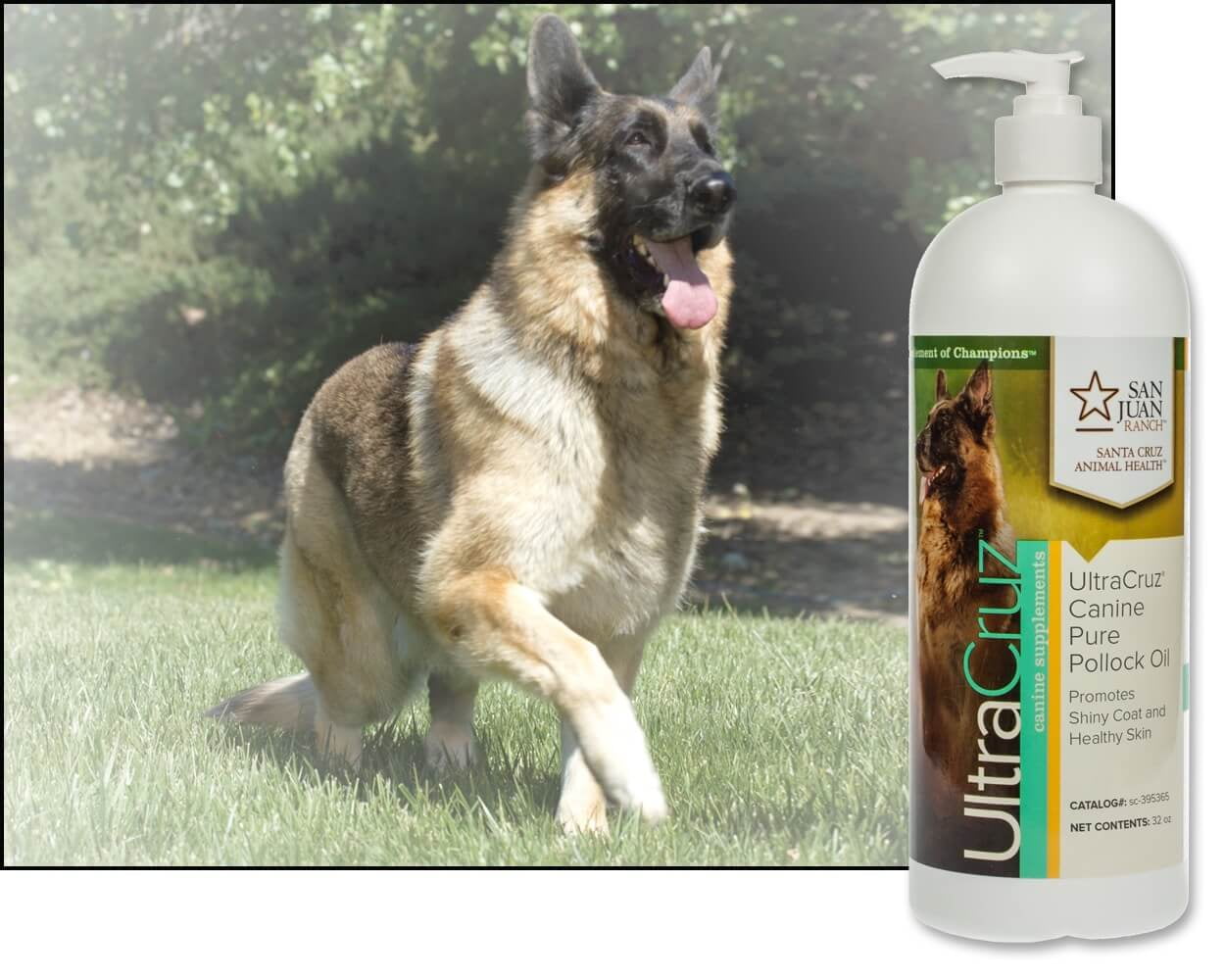 UltraCruz® Canine Pure Pollock Oil, 32 oz