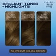 thumbnail image 6 of Clairol Nice'n Easy Permanent Hair Color Cream, 5G Medium Golden Brown, Hair Dye, 1 Application, 6 of 10