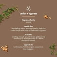 thumbnail image 4 of Body Wash Method Men Cedar + Cypress, 540 ml (paquete de 3), 4 of 8