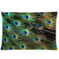 thumbnail image 1 of RYLABLUE Peacock Bird Tail Feathers In Close Up Pillow Cases 20x30 inches Two Sides Print, 1 of 1