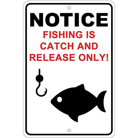 Metal Fishing Catch and Release Aluminum Tin Sign 12 x 8 Inch