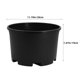 thumbnail image 2 of unbranded Plástico Para Plantas Suculentas Con Aire Y Duradero, 2 of 8