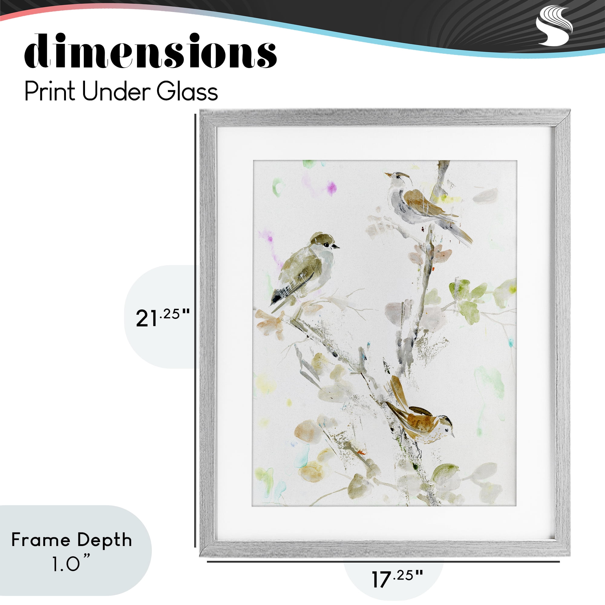 Stupell Industries Delicate Feathers Trio Gray Framed Print Under Glass, design by Lorenzo Collective