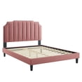 thumbnail image 3 of Modway Colette King Performance Velvet Platform Bed in Dusty Rose, 3 of 10