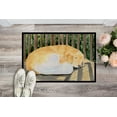 thumbnail image 2 of Carolines Treasures SS8760MAT Paillasson Intérieur Extérieur 18 x 27 Po. Golden Retriever, 2 of 4