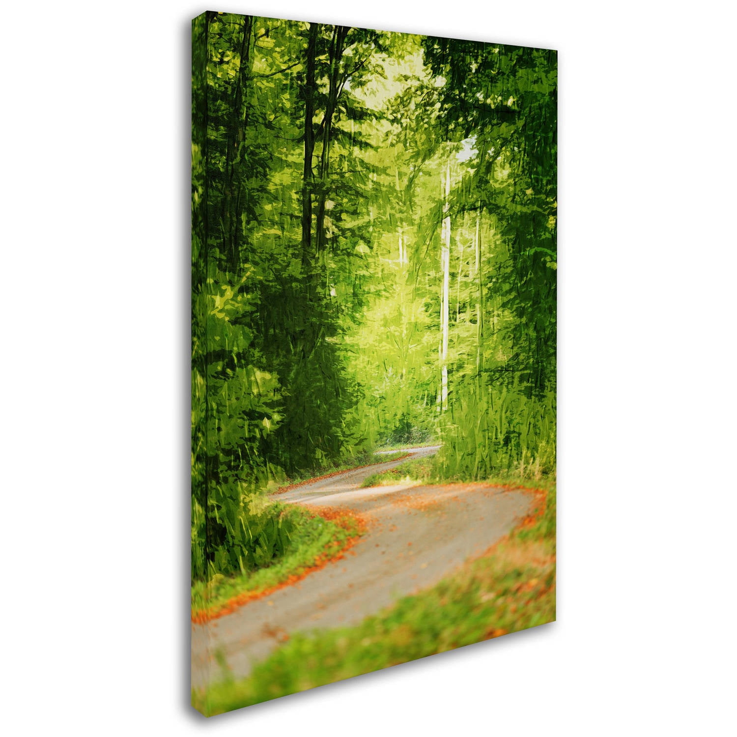 Trademark Fine Art "S Road" Canvas Art by Philippe Sainte-Laudy