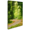 thumbnail image 2 of Trademark Fine Art "S Road" Canvas Art by Philippe Sainte-Laudy, 2 of 3