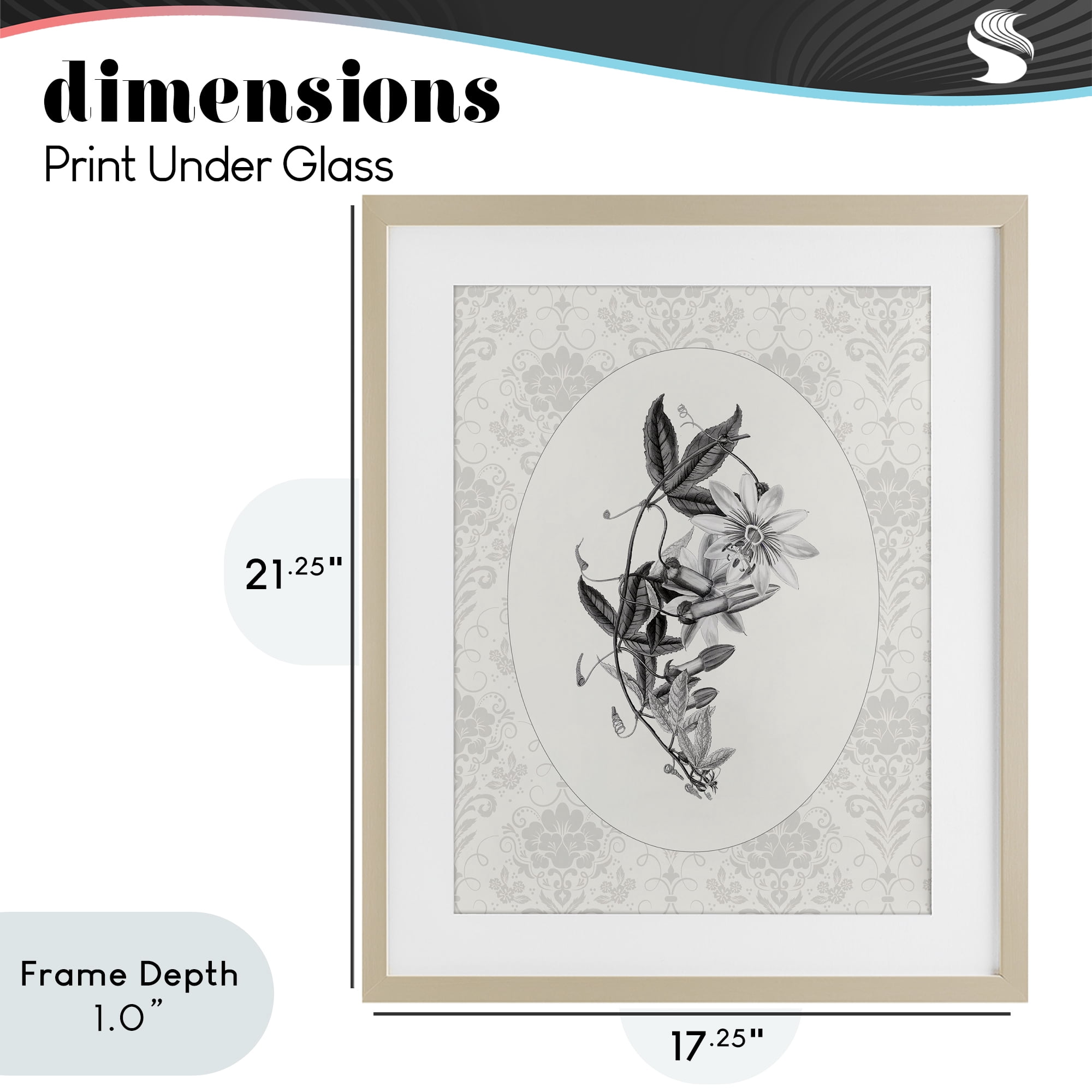 Stupell Industries Vintage Botanical & Lace Birch Framed Print Under Glass, design by CAD Designs