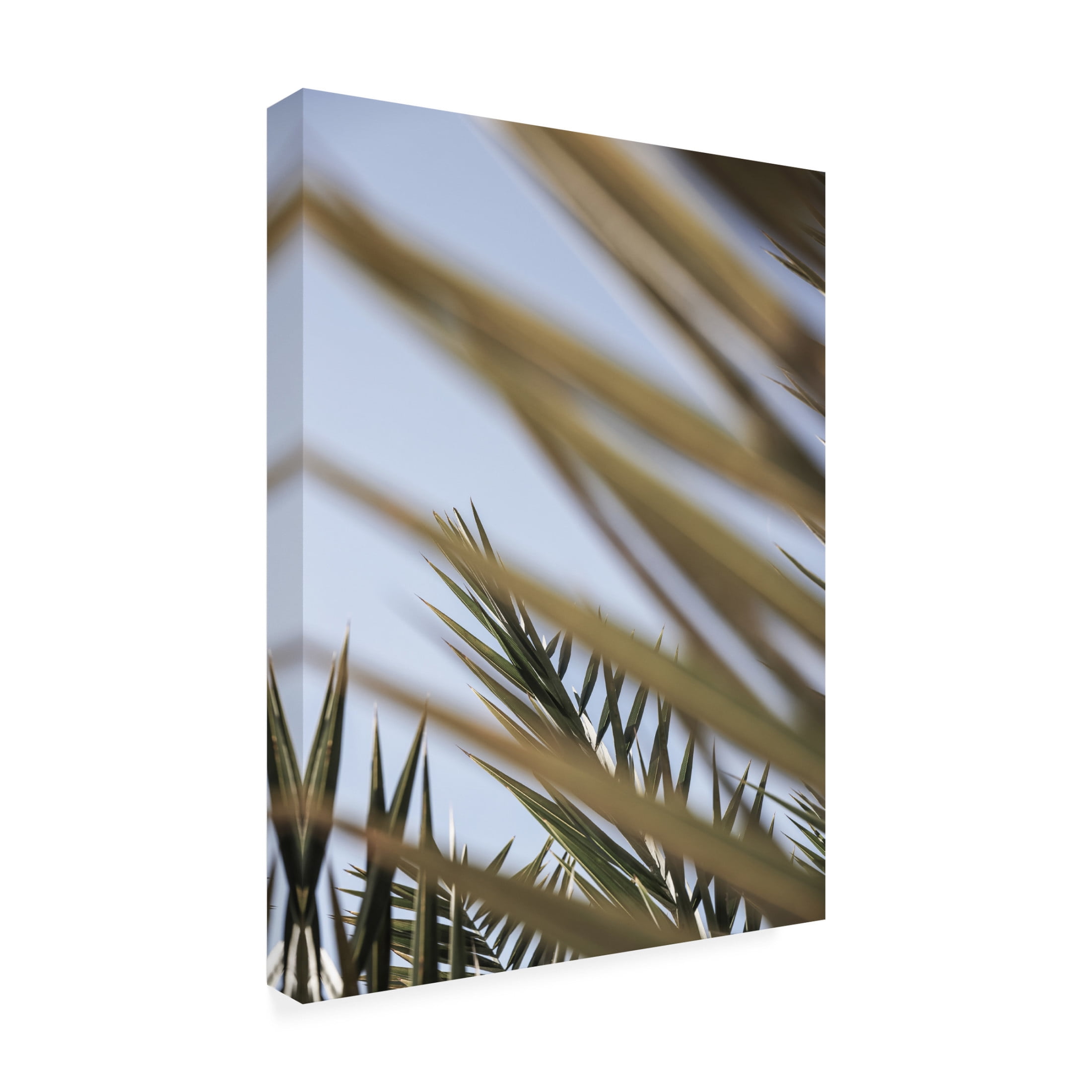 Trademark Fine Art Shot by Clint Hidden Canvas Wall Art