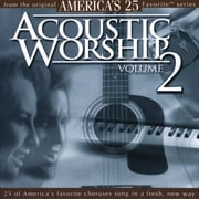 Acoustic Worship, Vol.2