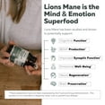 thumbnail image 6 of Triquetra Health MycoMax Lion's Mane Extract Capsules - 70% Beta Glucans, 6 of 8