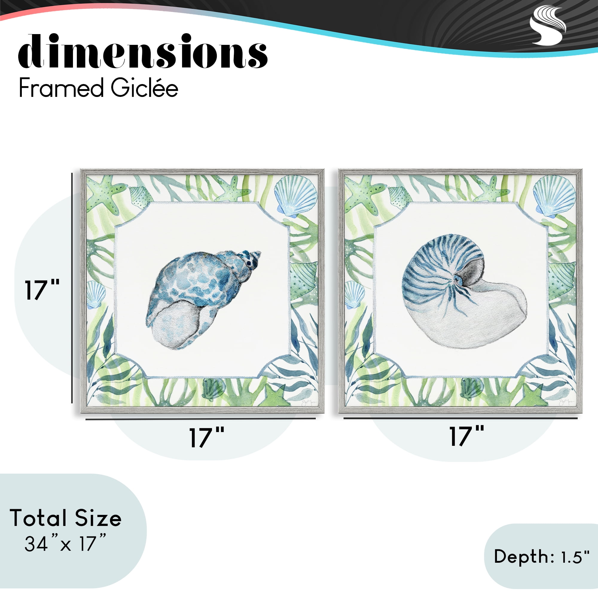 Stupell Industries Seaweed Bordered Seashells 2 Piece Gray Framed Giclee Art Set, design by Janet Tava