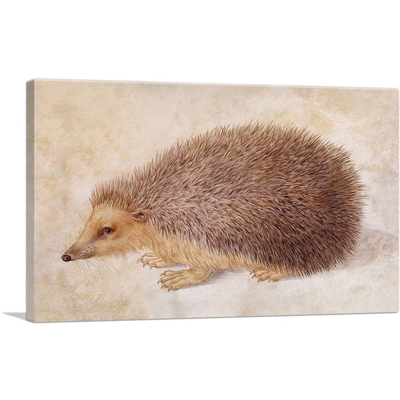 ARTCANVAS A Hedgehog 1584 Canvas Art Print by Hans Hoffmann - Size: 12" x 8" (0.75" Deep)