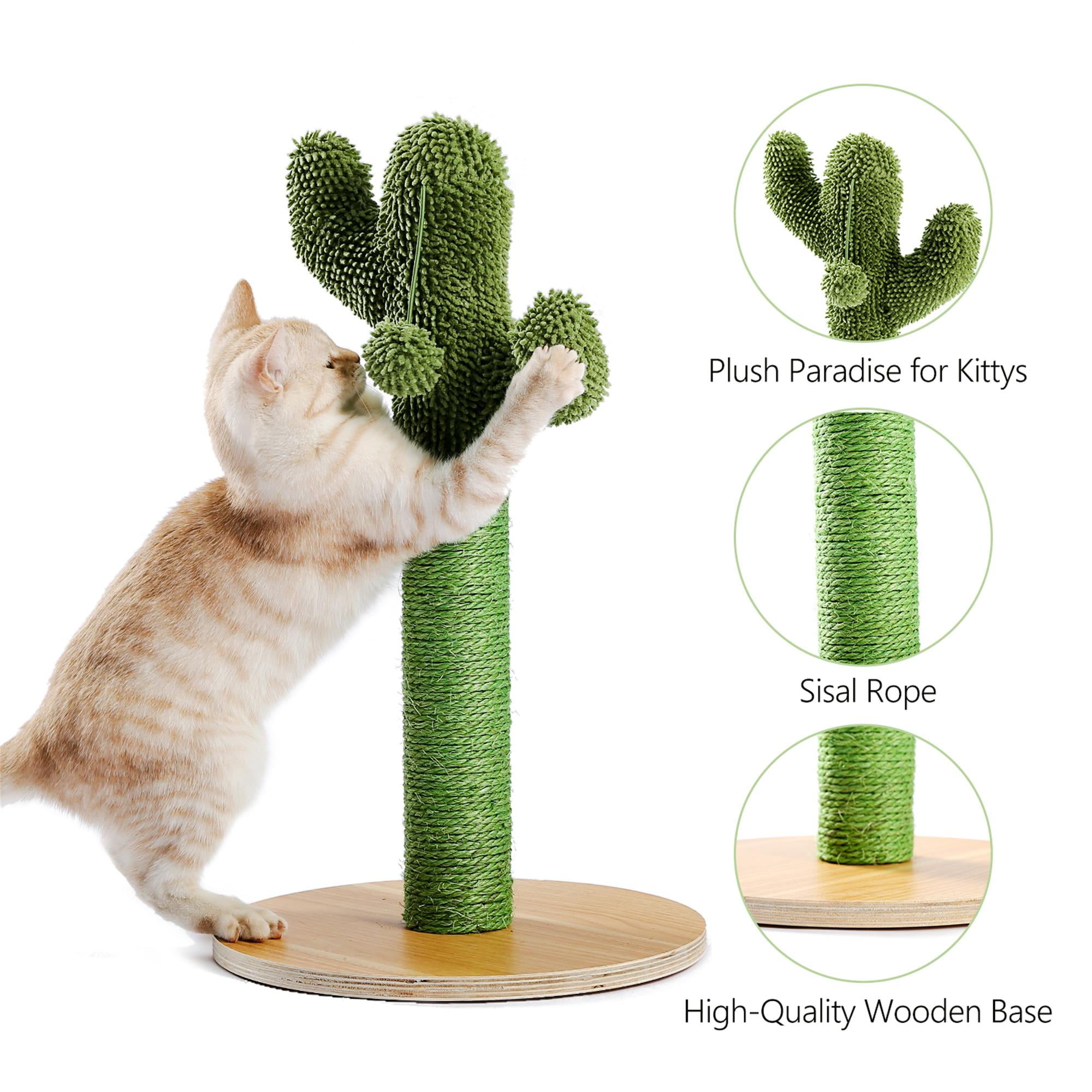 Kadyn 20" Cat Scratching Post, Cactus Cat Scratcher Kitten Scratch Post for Indoor Cats, Claw Cat Tree with Dangling Ball for Kitties, Green