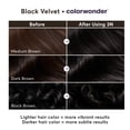 thumbnail image 3 of Madison Reed ColorWonder Demi-Permanent Hair Color Kit, 3N Black Velvet, 3 of 13