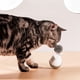 thumbnail image 4 of Vaso eléctrico para Juguete interactivo Teaser de s Juguete para mascotas Persiguiendo Suministros para mascotas, 4 of 6
