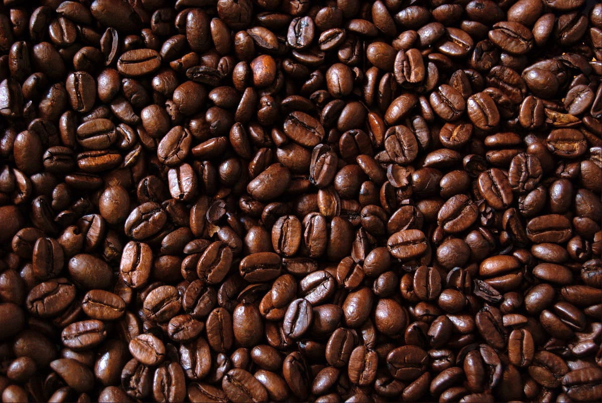 Bayou City Coffee Pecan Praline Organic & Fair Trade Medium Roast Whole Bean  12 oz