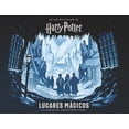 thumbnail image 1 of Libro Harry Potter Lugares Mágicos Norma Editorial JUDY REVENSON, 1 of 2
