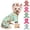 Blue Bee, variant on Dog Pajamas Small Sized Boy Girl, Cotton Stretchable Pet Clothes Jammies Puppy Outfits for Dogs Female Male, Spring Summer Doggie Doggy Pjs, Carrot M