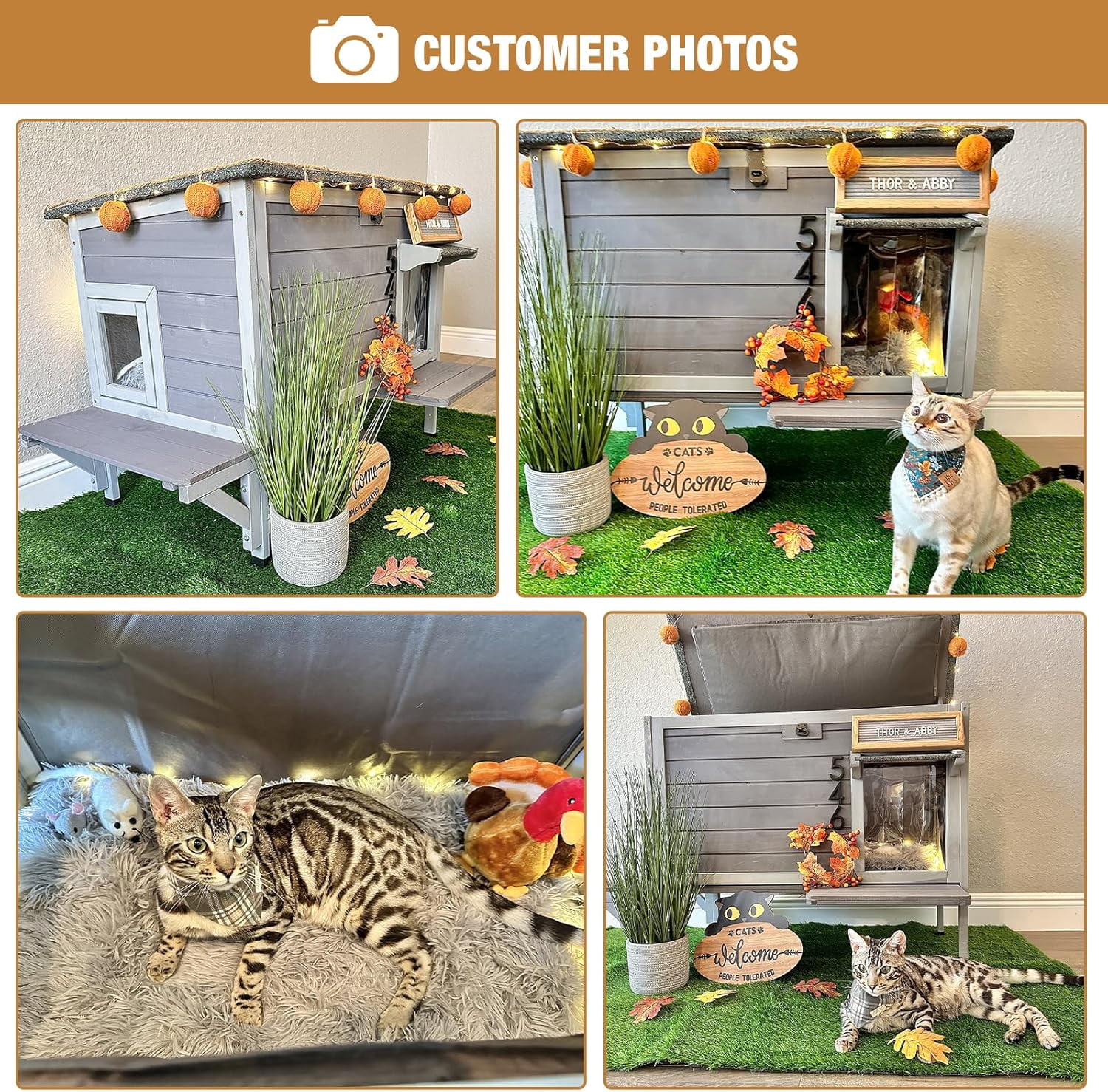 MEDEHOO Outdoor Cat House Insulated, Weatherproof Feral Cat Shelter for Winter Cat Condos for Outdoor Cats-100% Insulated Liner
