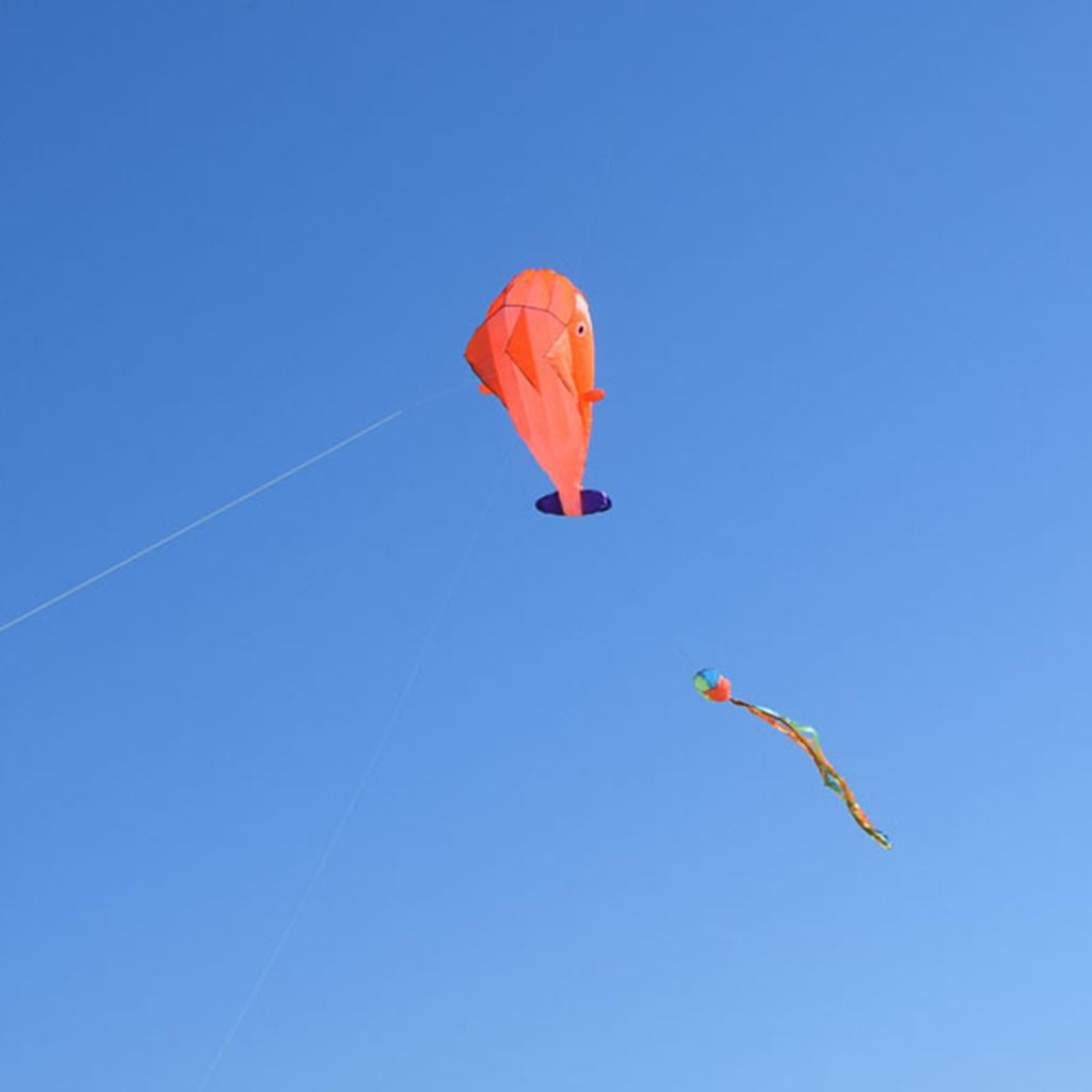 LeeQinersw Large Orange Dolphin Parafoil Kite 47 Inches Wide Perfect for Beach Park Outdoor