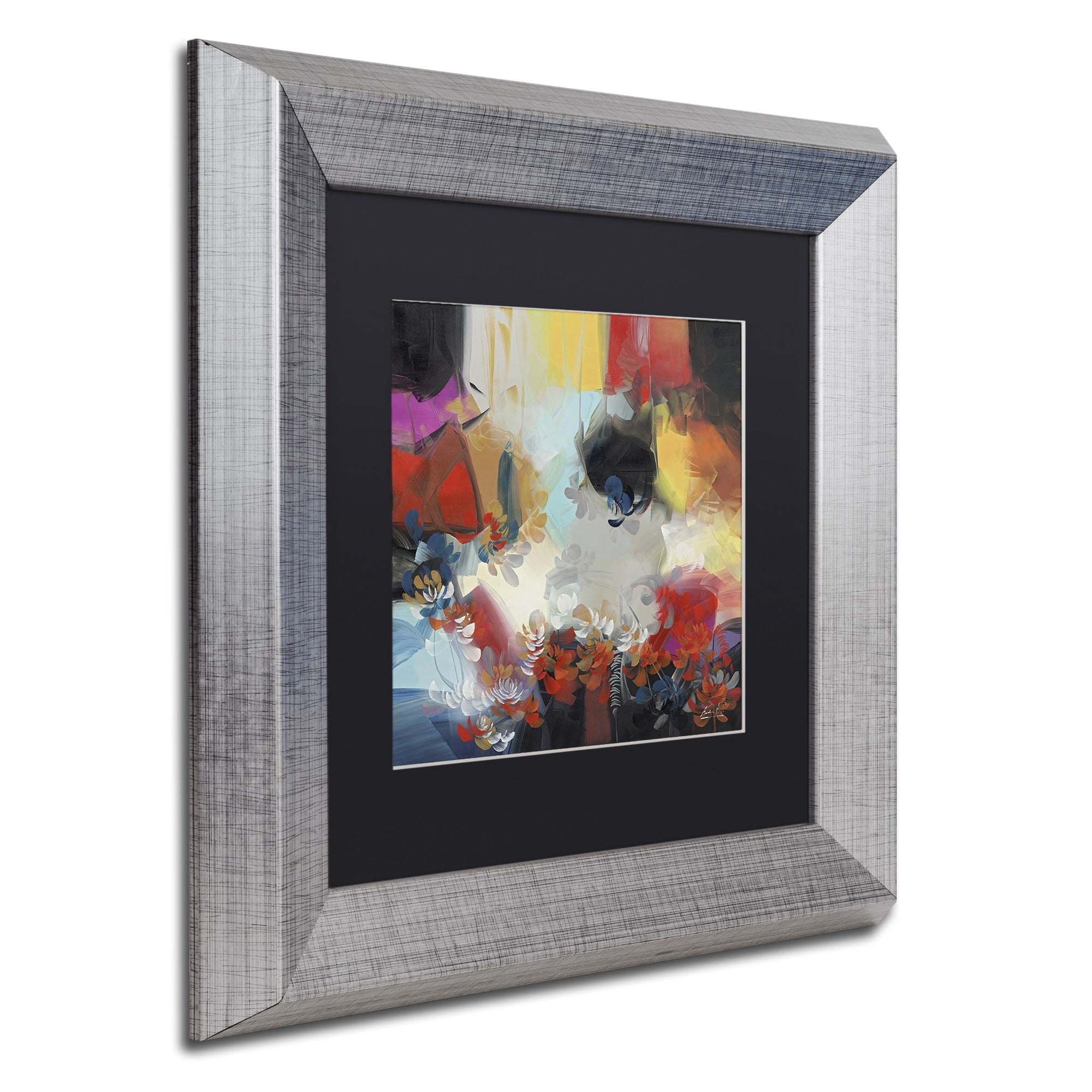 Trademark Fine Art "Spectrum" Canvas Art by Masters Fine Art, Black Matte, Silver Frame