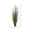 thumbnail image 4 of Vickerman 24" Artificial Potted Green Straight Grass and Cattails., 4 of 6
