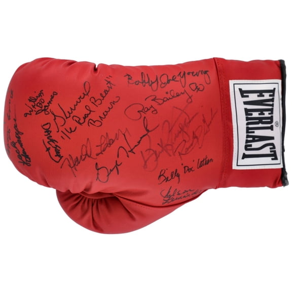 Boxing Greats Multi Signed Glove 14 Sig Larry Hazzard, Dave Joseph Beckett COA
