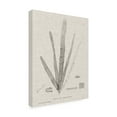 thumbnail image 2 of Trademark Fine Art 'Charcoal And Linen Seaweed II' Canvas Art by Henry Bradbury, 2 of 4
