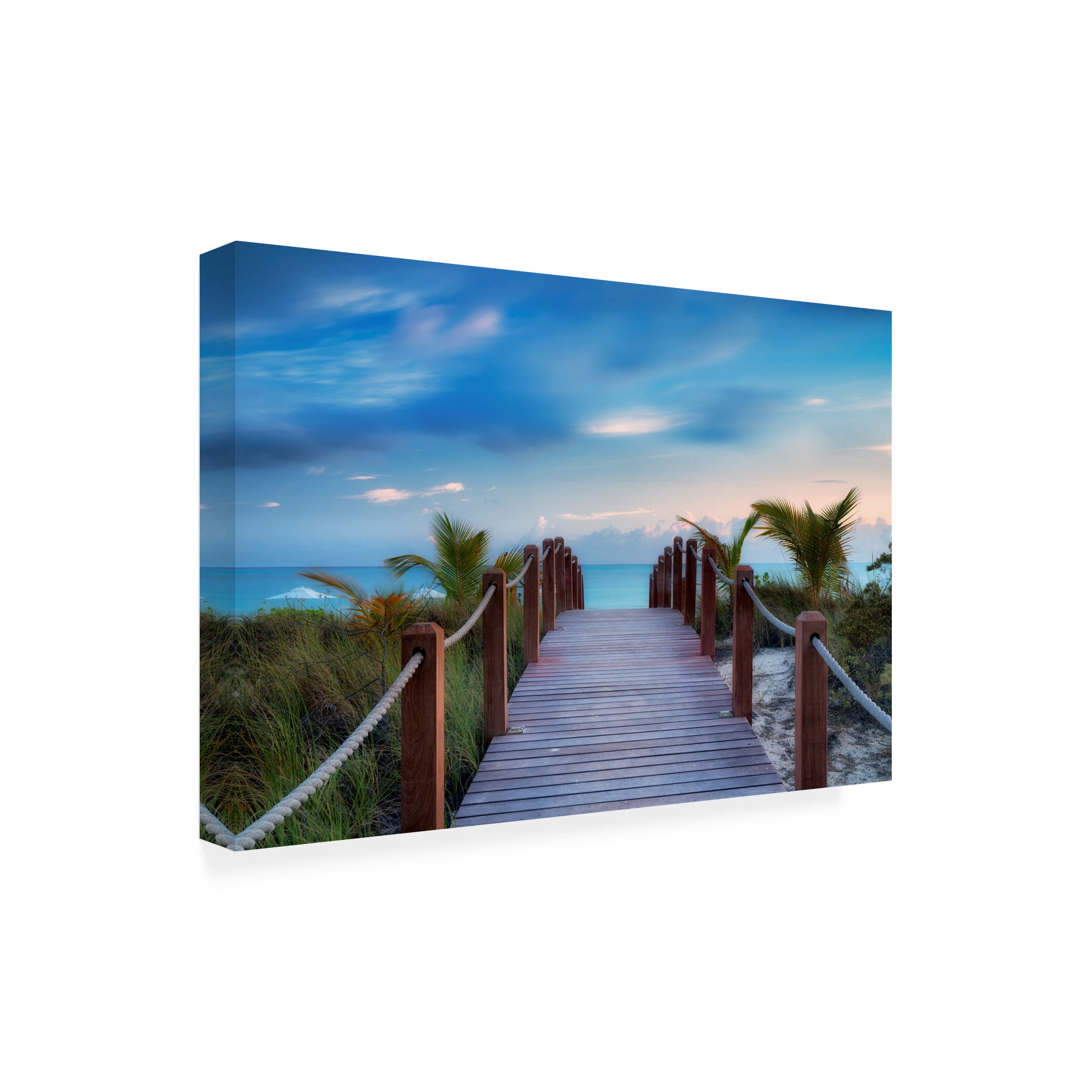Dennis Frates 'Pathway' Canvas Art